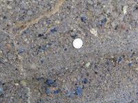 Albums/20060200-New Zealand 2006/20060316-Twiz/6